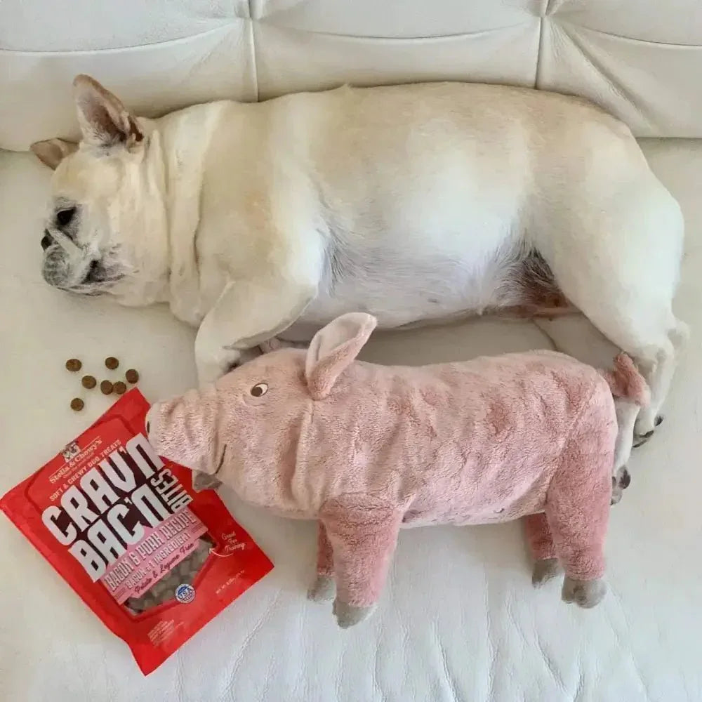 Stella & Chewys Dog Crav'N Bacon Bites Beef 8.25Oz - Talis Us