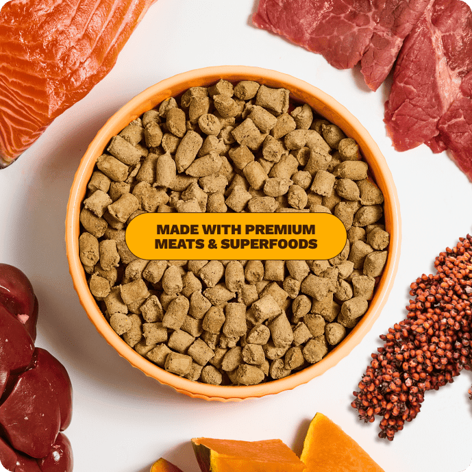 Bowl of dog food kibble surrounded by fresh salmon, beef, organ meat, pumpkin, and superfoods.