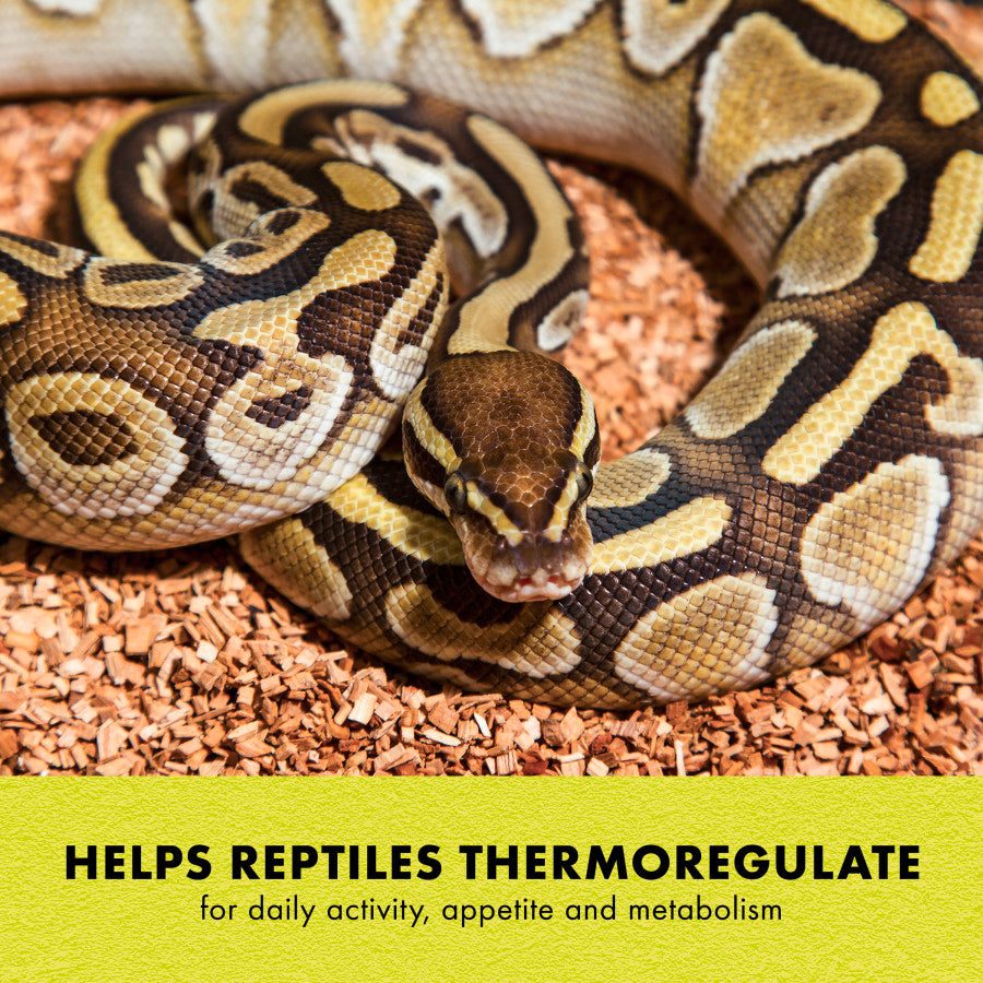 Zilla terrarium heat mat warming a reptile tank from below.