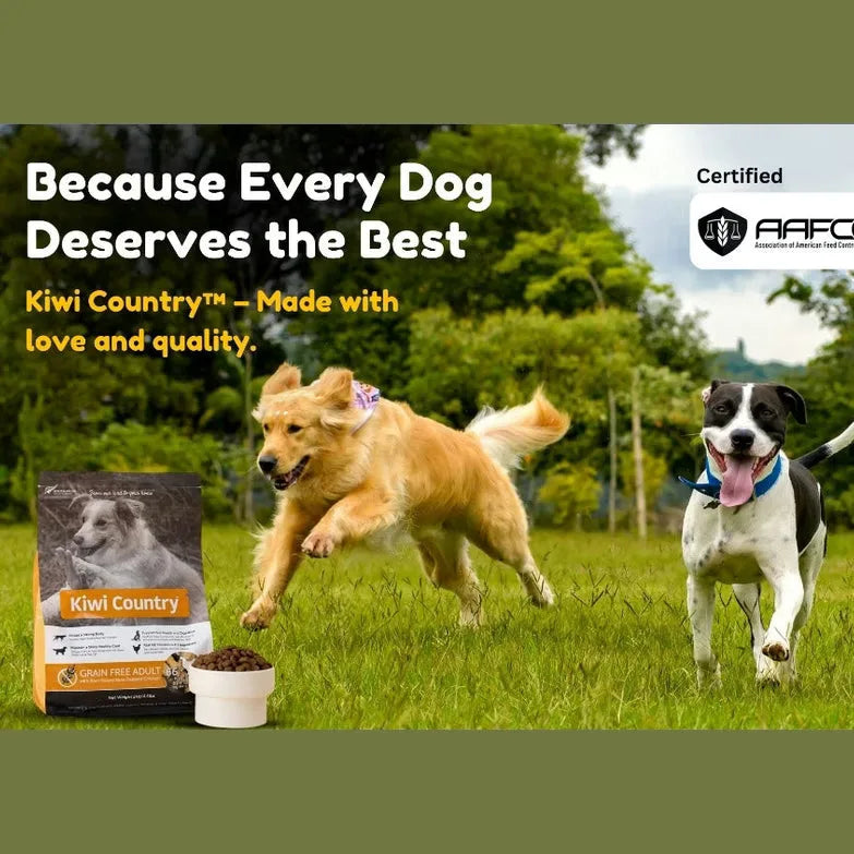 Kiwi Country grain free chicken dog food with happy dogs playing outdoors