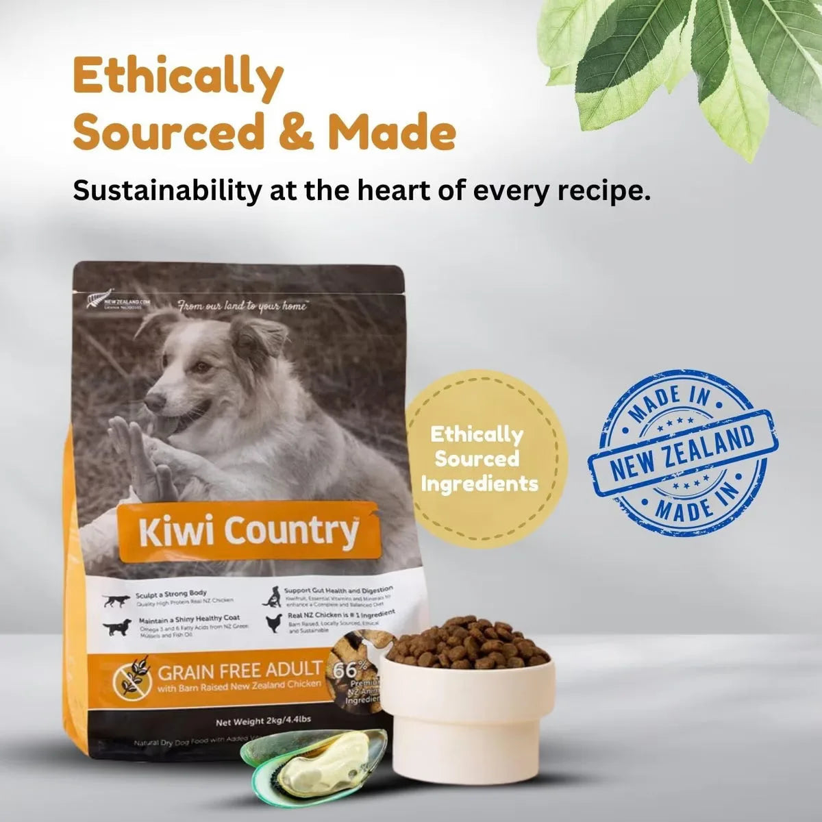 Kiwi Country grain free chicken dog food in a 4.5 lb bag with ethically sourced ingredients