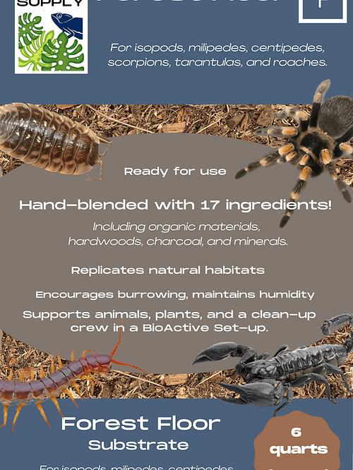 Bag of Bioactive Forest Floor Substrate for terrariums and vivariums.