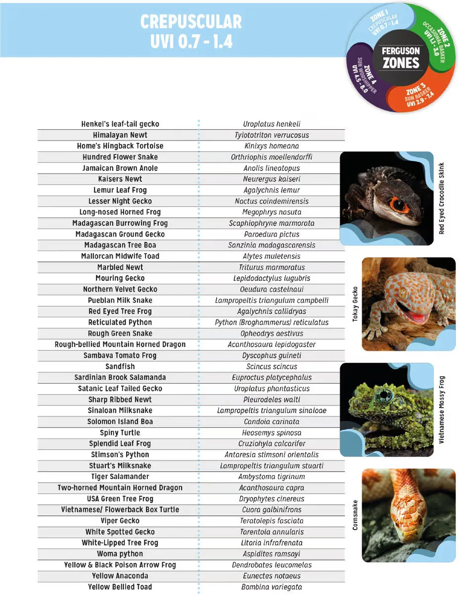 A list of crepuscular reptiles and amphibians suitable for Zone 1 lighting with example photos.