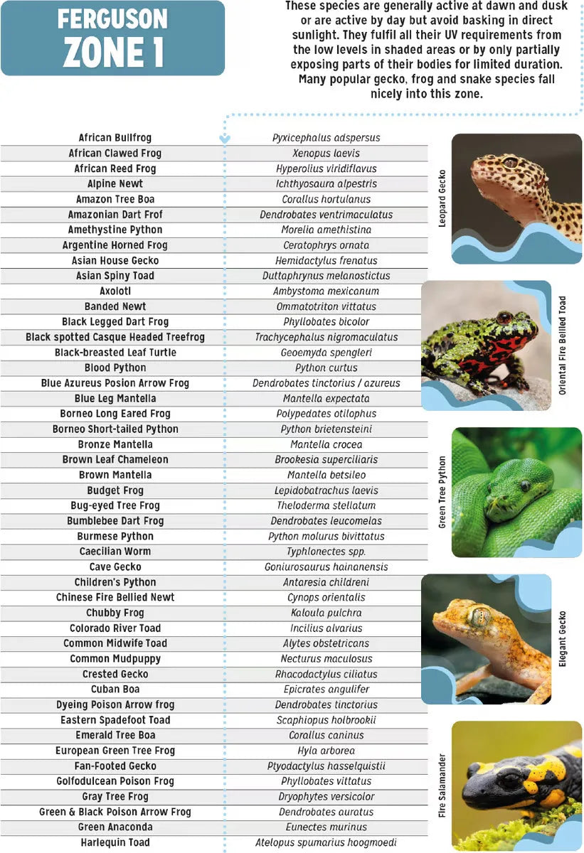 Informational chart listing Ferguson Zone 1 reptile and amphibian species with example photos.