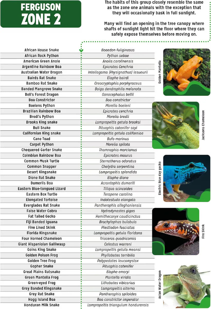 Reptile Systems reptile T5 lighting kit designed for various reptiles, ensuring optimal habitat lighting and heating