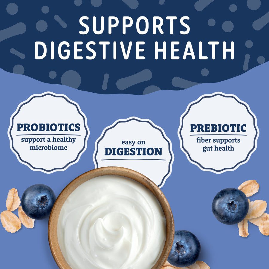 Bowl of creamy white yogurt surrounded by blueberries and oats illustrating digestive health benefits with probiotic and prebiotic labels