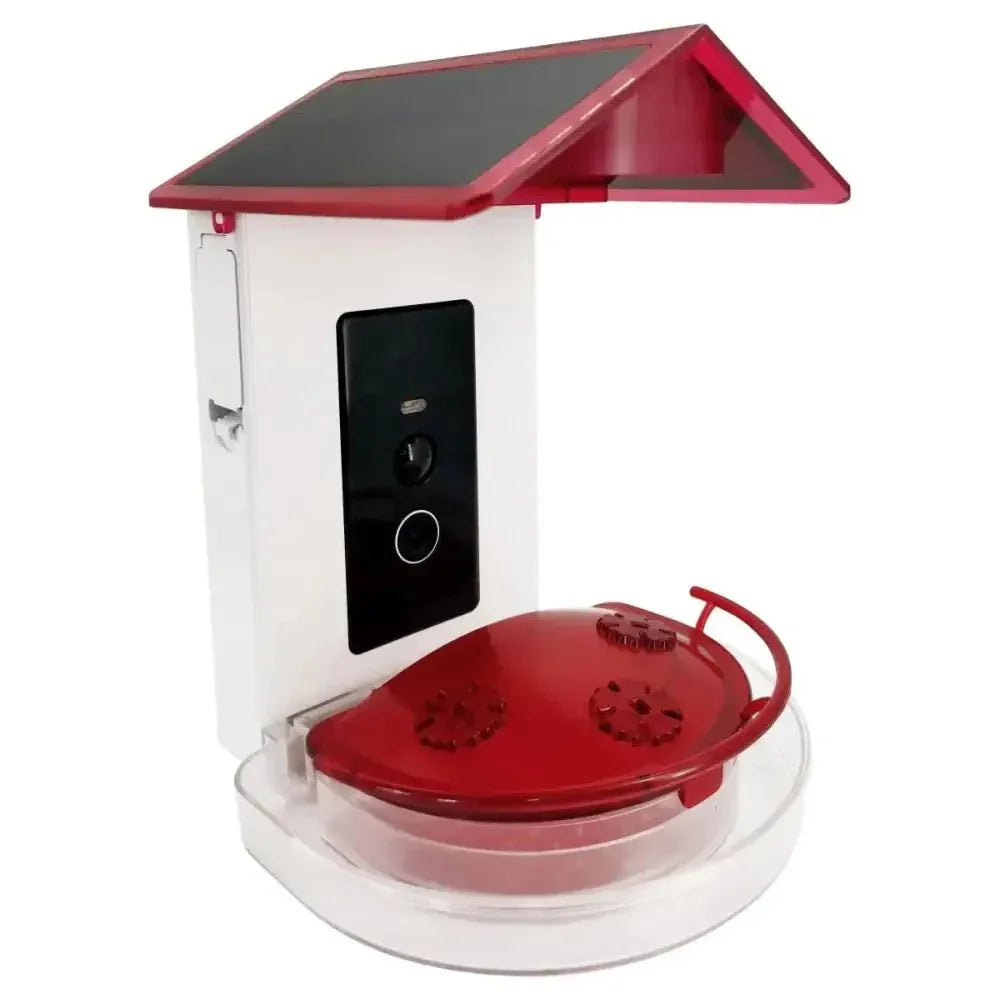 Talis - us Professional Hummingbird Feeder with Smart Al Camera - Talis Us
