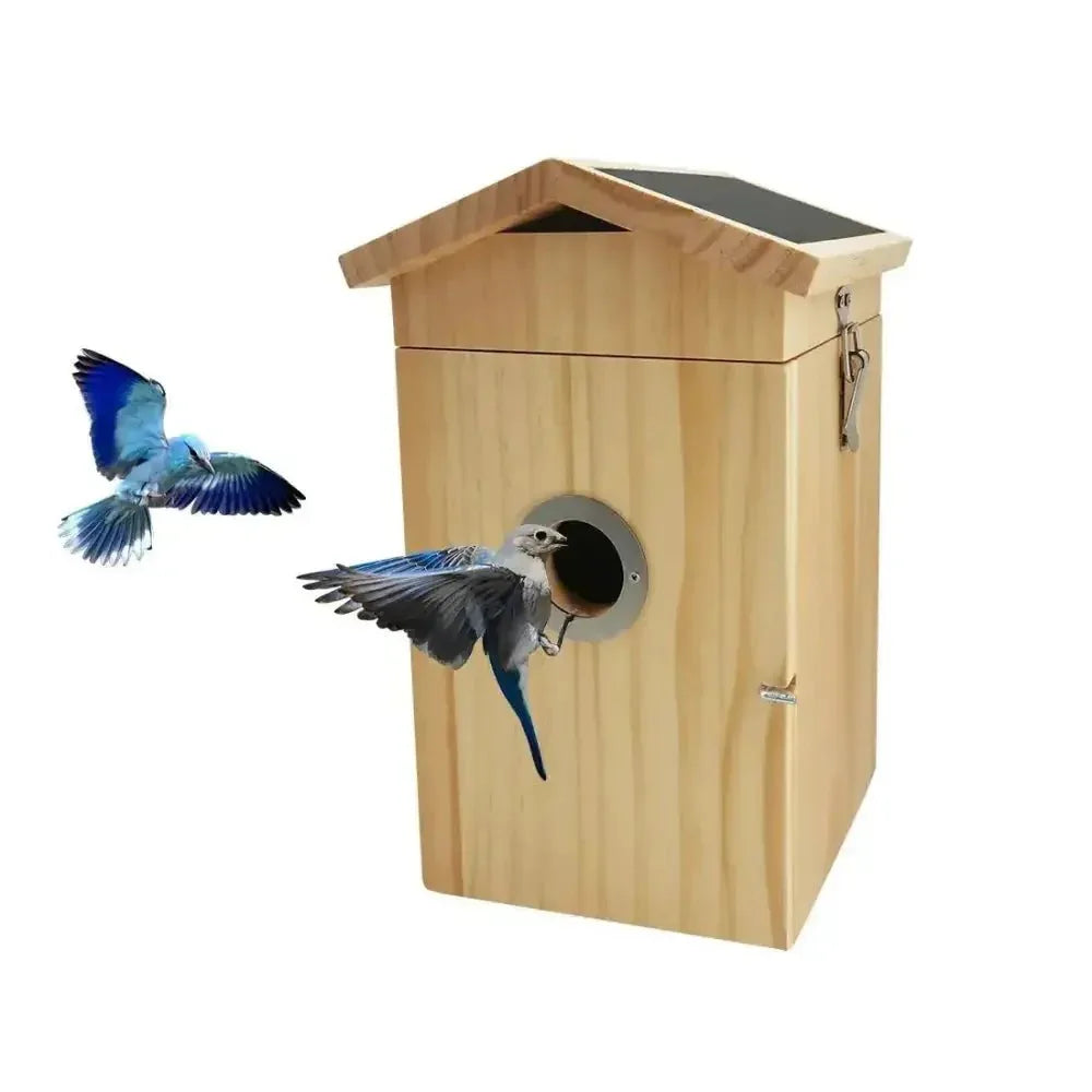 Talis - us Smart Bird Nesting House with WI - FI Camera - Talis Us