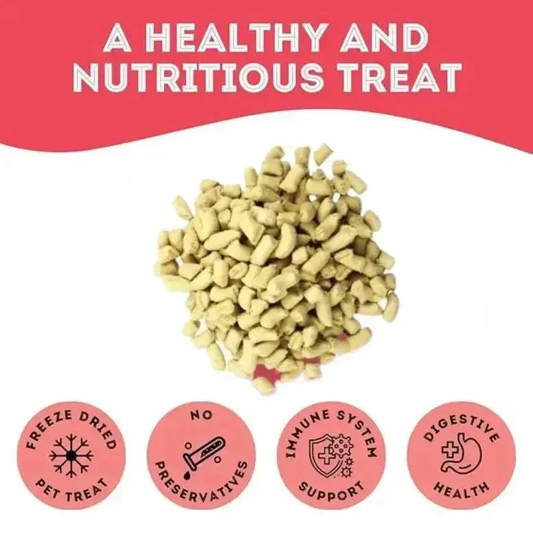 The Granville Island Turkey Freeze - Dried Pet Treats 1.7oz - Talis Us