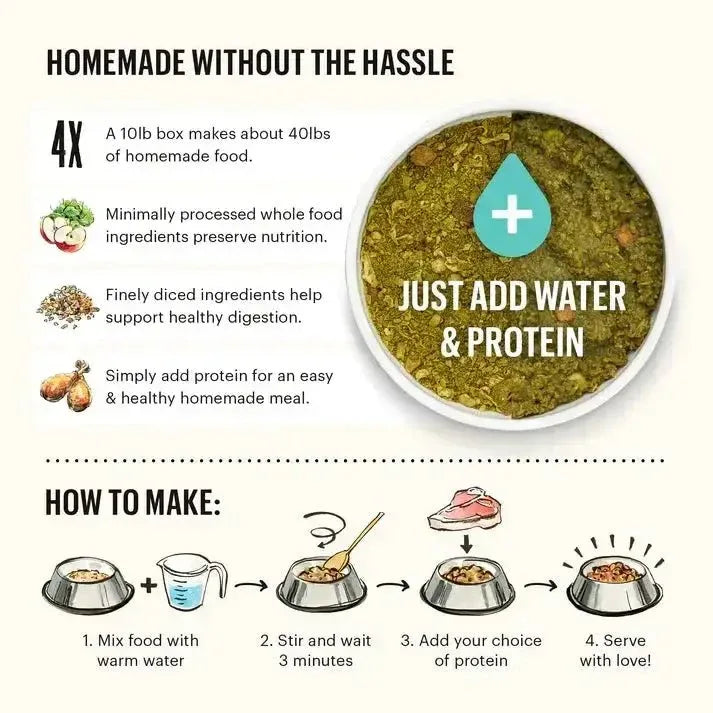 The Honest Kitchen Dehydrated Grain Free Veggie, Nut & Seed Base Mix Recipe Dog Food - Talis Us