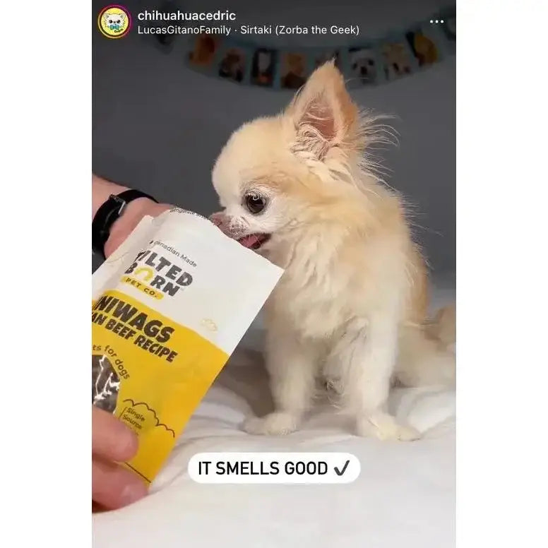 Tilted Barn Pet Beef Recipe Miniwags Dog Treats 3.53oz - Talis Us