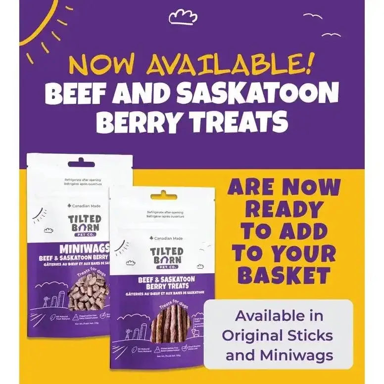 Tilted Barn Pet Beef & Saskatoon Berry Recipe Soft & Chewy Dog Treats 3.53oz - Talis Us