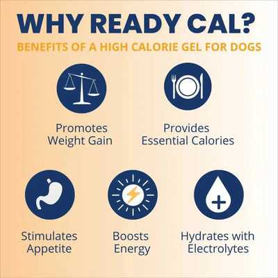 Under the Weather Ready Cal Plus w Electrolytes Squeezable for Dogs 3.5oz - Talis Us