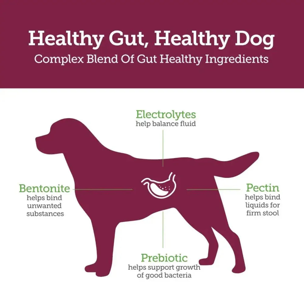 Vetality ‘Stop the Runs’ Anti - Diarrhea Chewable for Dogs 6 ct - Talis Us