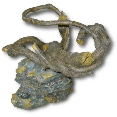 Weco Products Wecorama Serengeti Wicked Tiered Dish Terrarium Ornament Gray, Brown Weco CPD