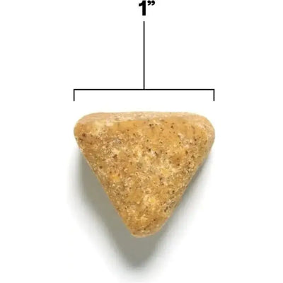 Wild Earth Immunity & Digestion Soft Chews Vegan Dog Supplements - Talis Us