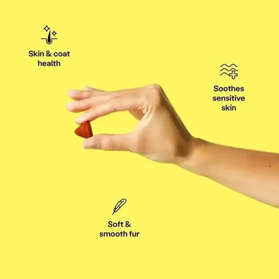 Wild Earth Skin & Coat Soft Chews Vegan Dog Supplements - Talis Us