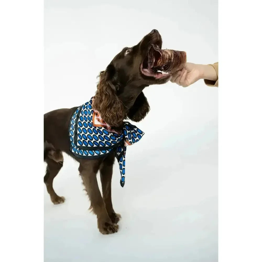 Winnie Lou All - Natural Bison Trachea Chews for Dogs - Talis Us