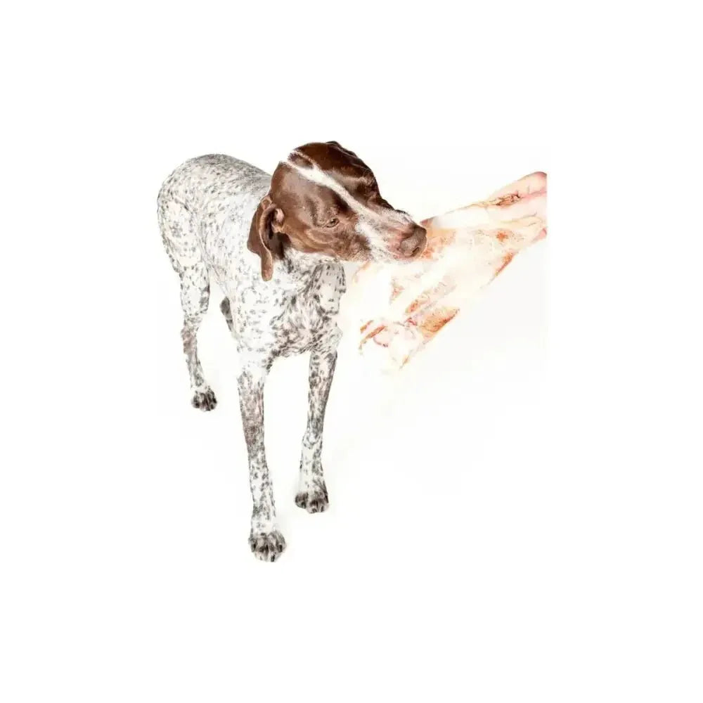 Winnie Lou Freeze - Dried Bison Scapula Chews – All - Natural Long - Lasting Treats - Talis Us