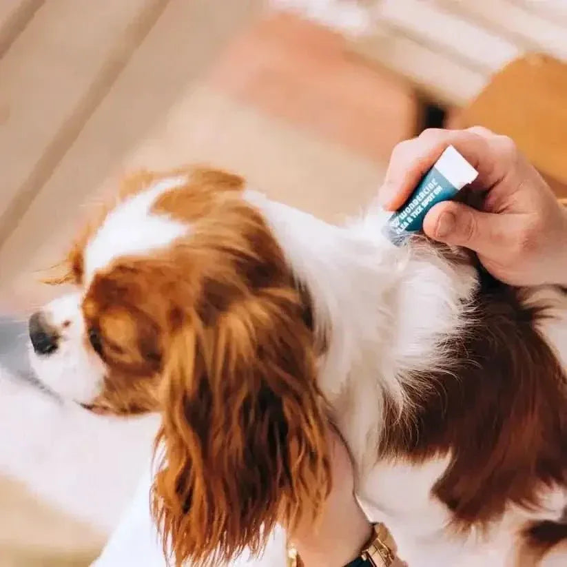 Wondercide Flea & Tick Spot On for Dogs Peppermint - Talis Us