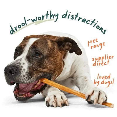 Woof Pet Bullysafe Pure Collagen Chews Dog Treat - Talis Us