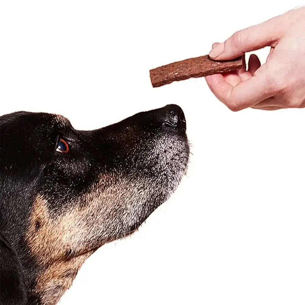 WOOF Super Strips Protein - Rich Dog Treats - Talis Us