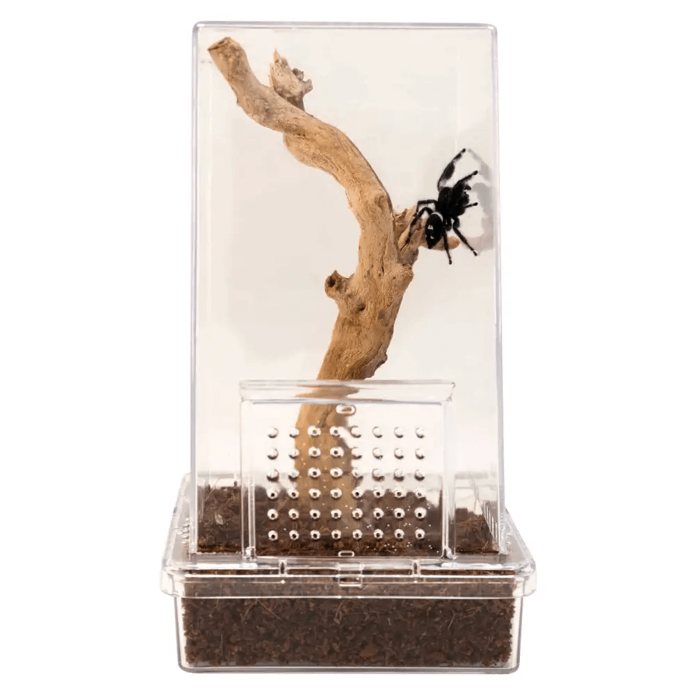 Zoo Med Laboratories jumping spider habitat kit with wood feature for creating a natural environment