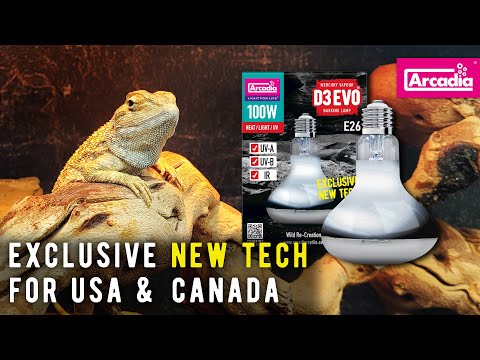 Arcadia Reptile D3Evo Combi Lamp - Brand NEW