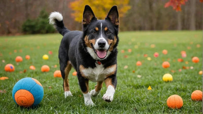 10 Durable Dog Toys for Endless Fun - Talis Us