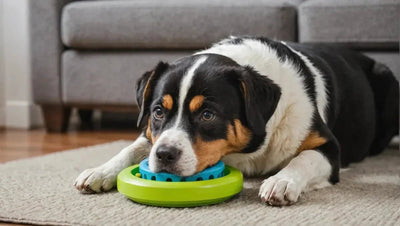 10 Mental Stimulation Toys for Dogs to Keep Them Happy - Talis Us
