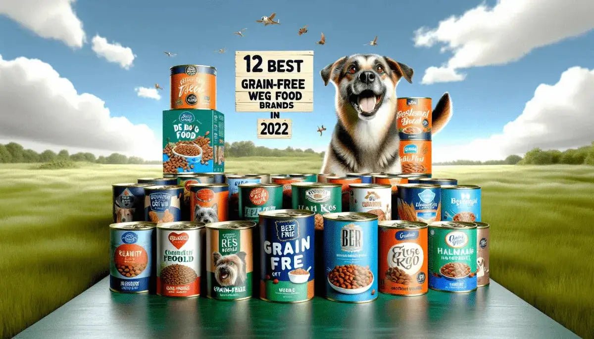 12 Best Grain-Free Wet Dog Food Brands in 2022