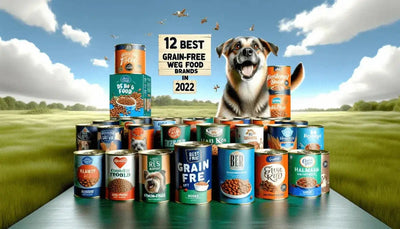 12 Best Grain-Free Wet Dog Food Brands in 2022 - Talis Us