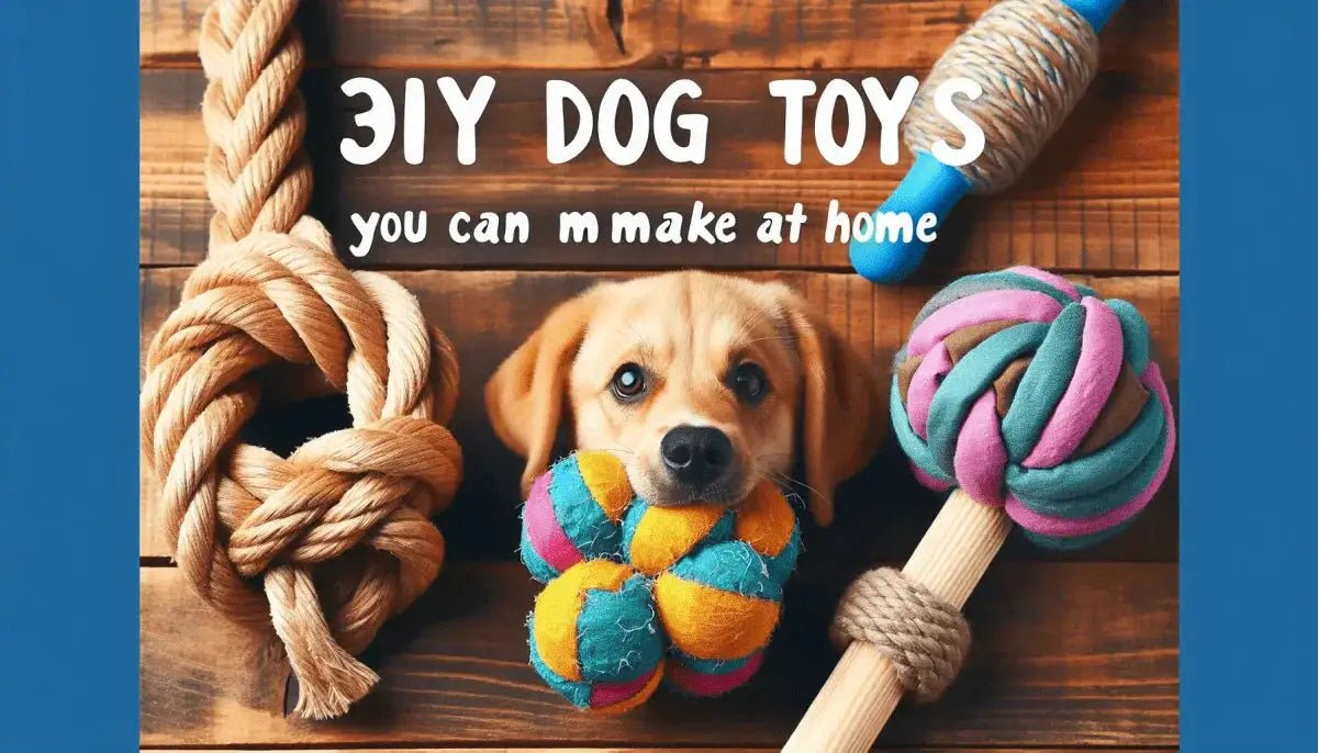 3 DIY Dog Toys You Can Make at Home