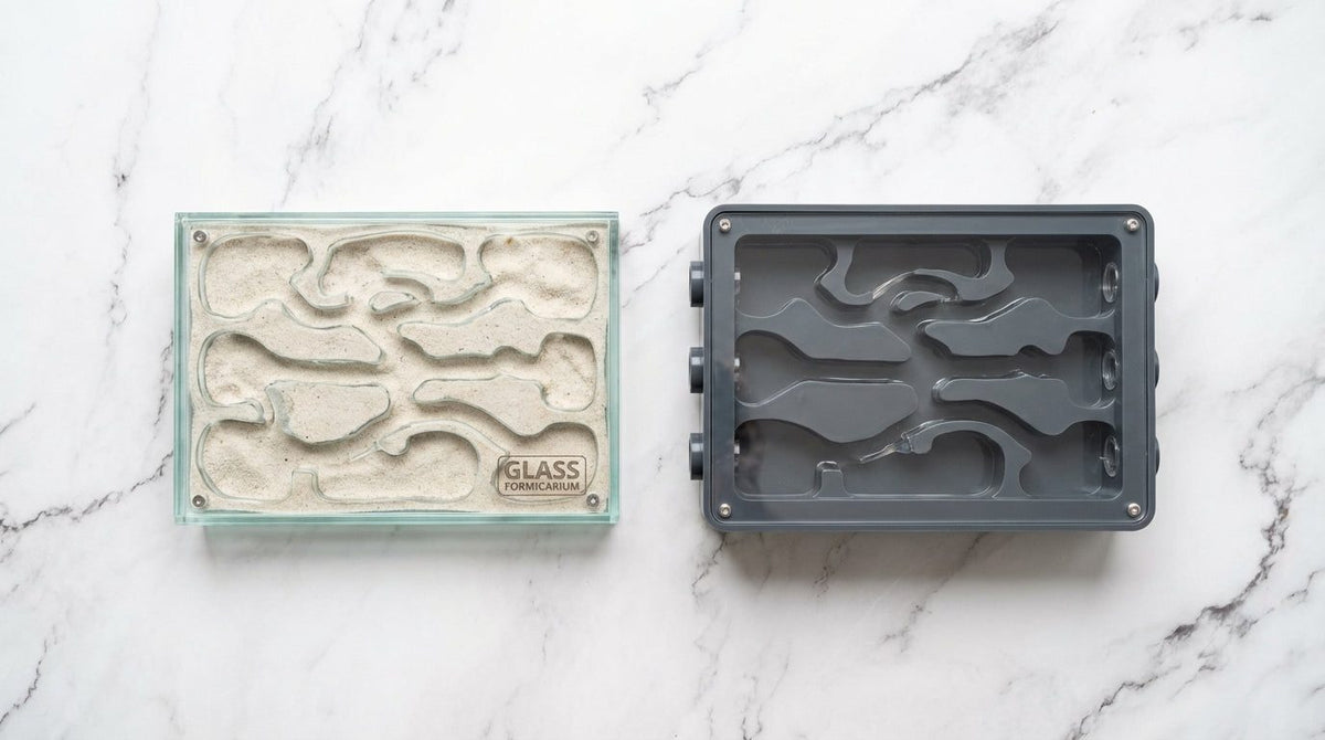 Glass vs. PVC Ant Farm: The Real Differences Every Ant Keeper Should Know