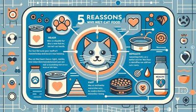 5 Reasons Why Wet Food Is Better for Cats' Health - Talis Us