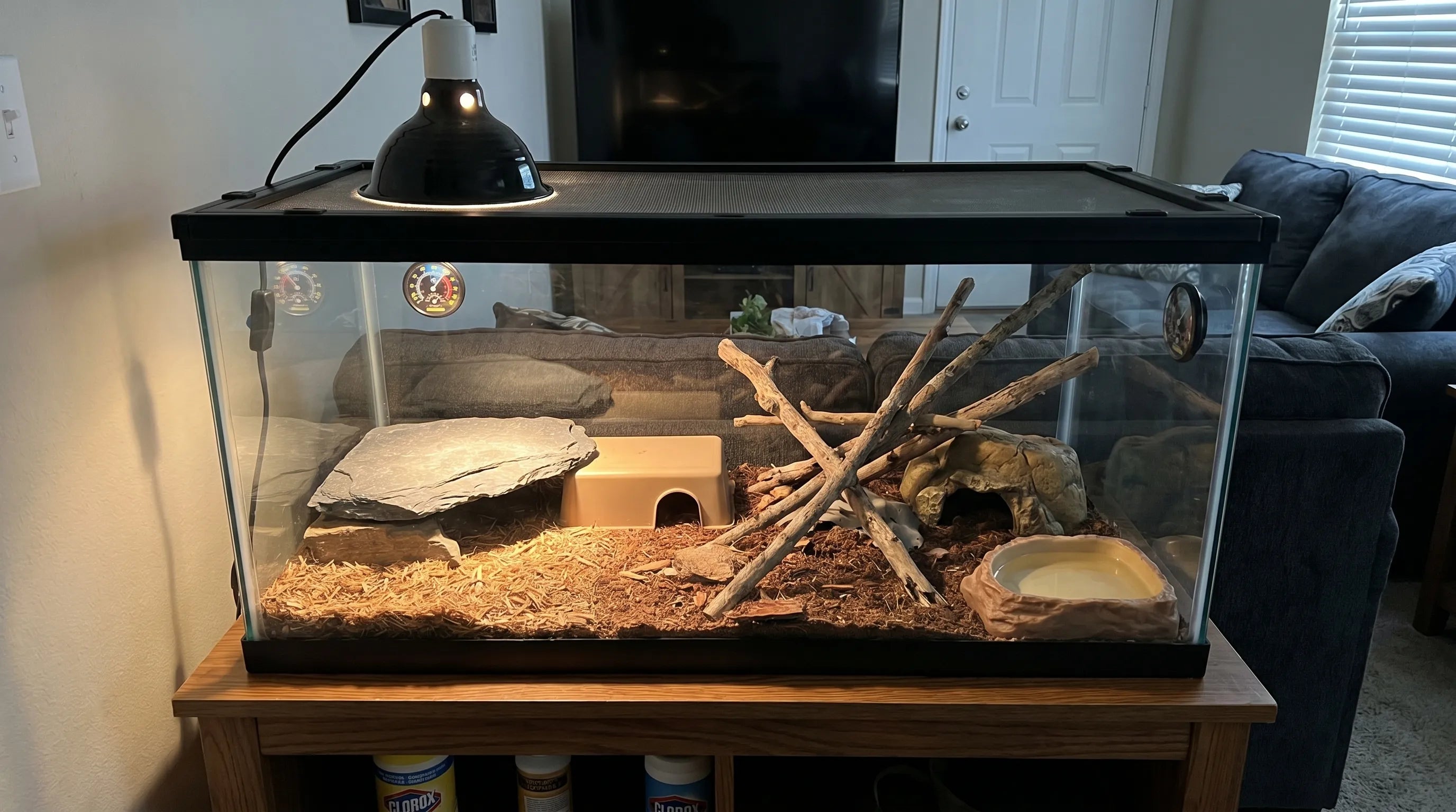 How to Set Up a Reptile Terrarium Step by Step