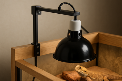 Essential Reptile Heat Lamp Brackets: Setup & Safety Guide