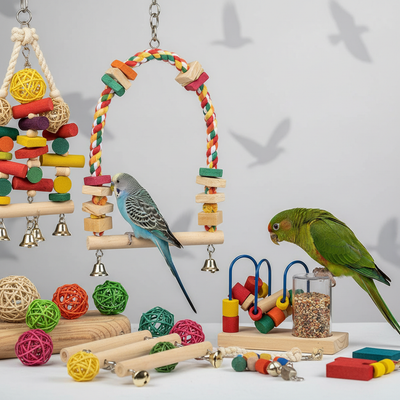 Bird Toys 101: Keeping Your Bird Entertained