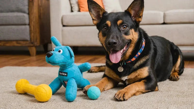 BarkBox: Dog Toys for Happy Canines - Talis Us
