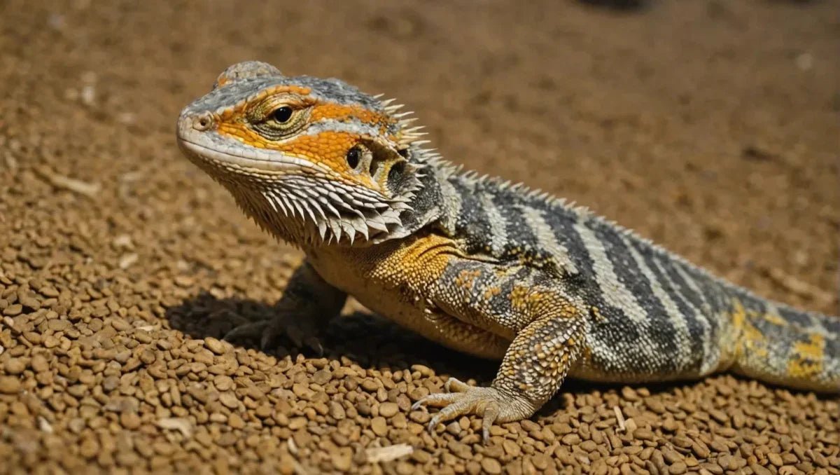 Bearded Dragon Daily Diet: Care and Tips for a Healthy Bearded Dragon Diet