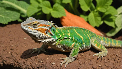 Bearded Dragon Diet: How to Feed Your Pet Vegetables - Talis Us