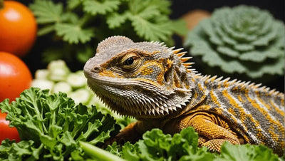 Bearded Dragon Food: A Guide to Including Vegetables - Talis Us
