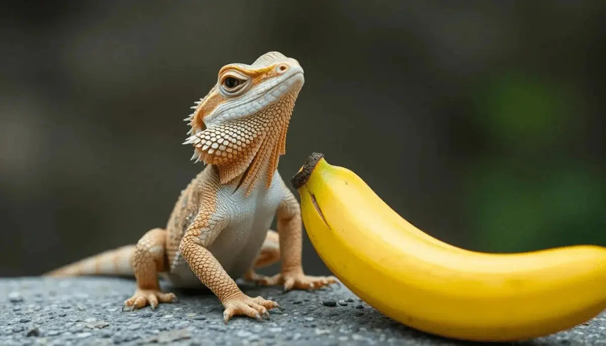 Can Bearded Dragons Eat Bananas? Insights for Pet Owners