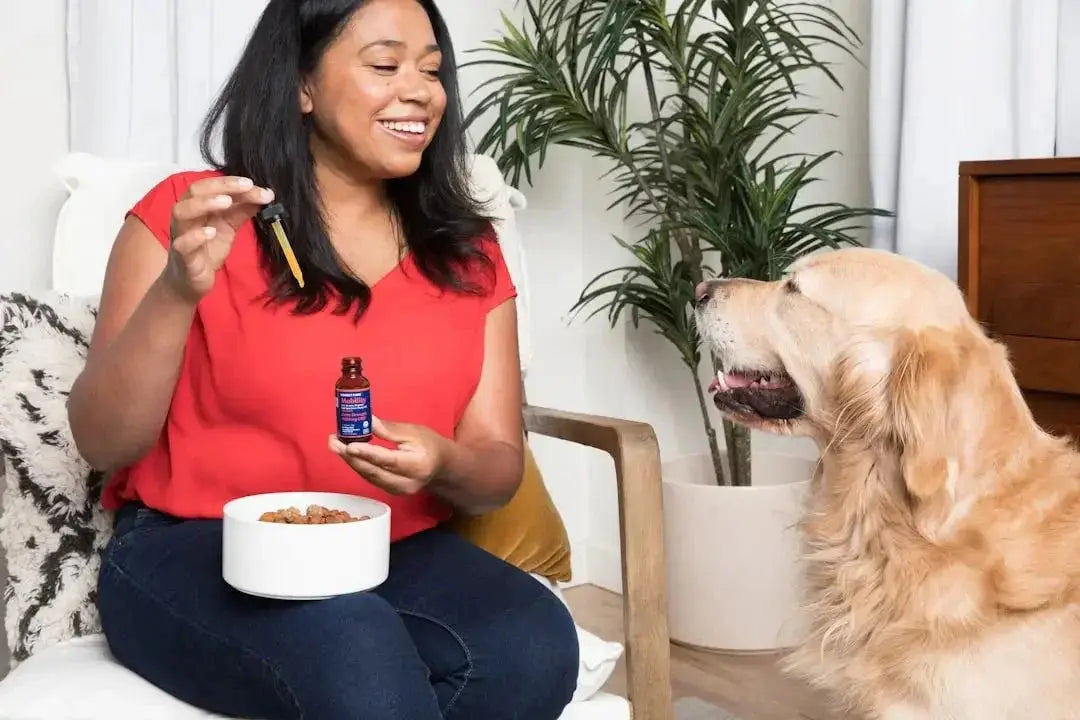 What are the best online retailers for healthy dog treats near me