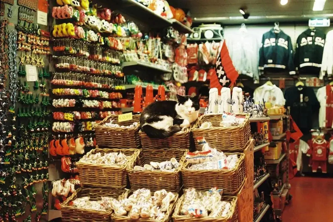 Best Online Stores for High-Quality Pet Food (2024 Guide)