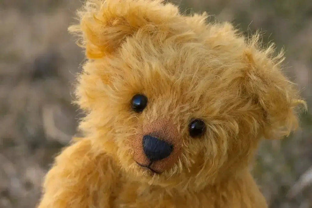 What is the breed of a teddy bear dog