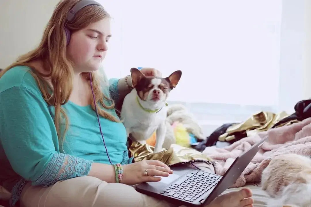 Where can I buy accessories for multiple types of pets in one place
