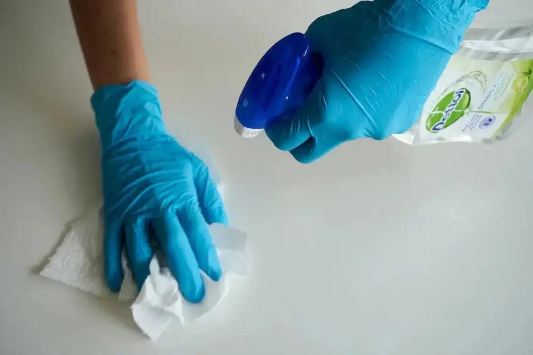 Can You Wash Dog Toys? A Step-by-Step Guide