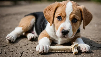 Chew Bones for Puppies: Under 3 Months - Talis Us