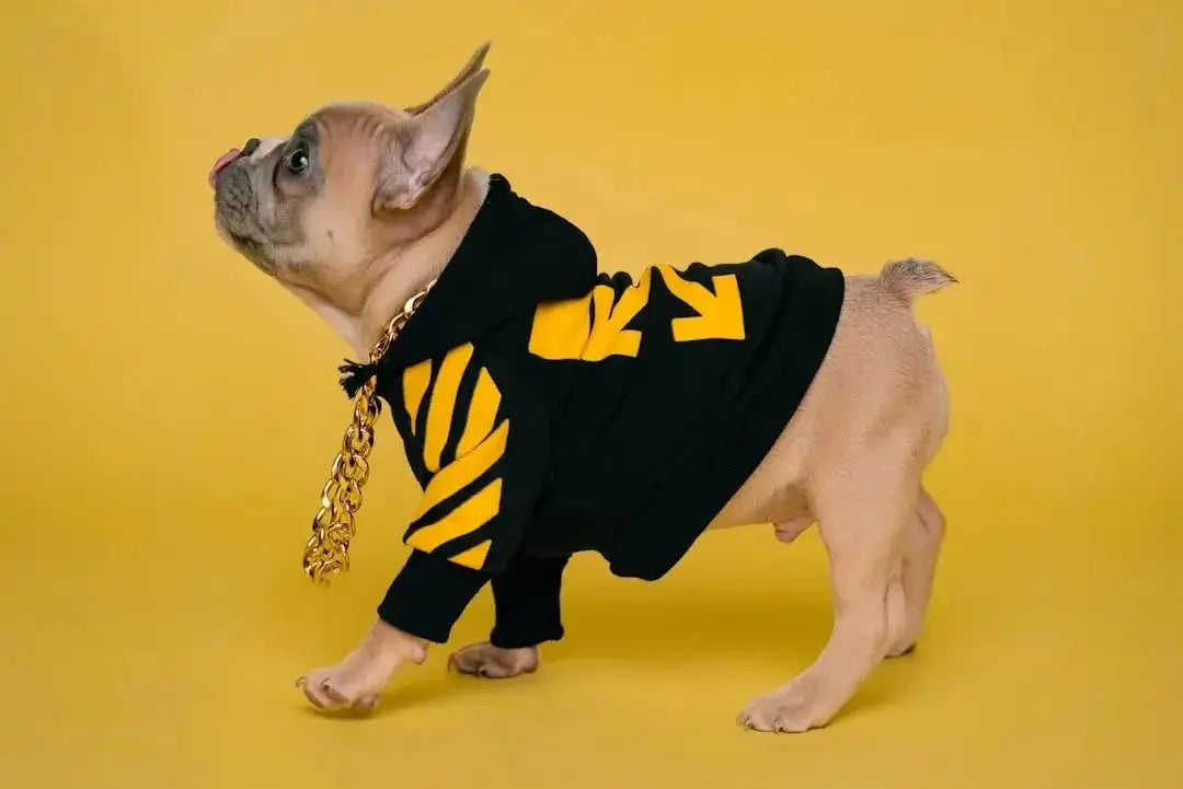 Choosing the Perfect XXL Dog Sweater